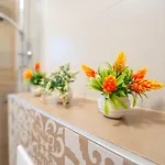 Calendula Apartament *
